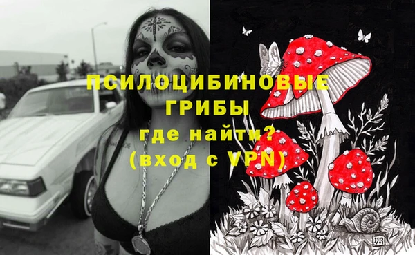 бошки Богородицк