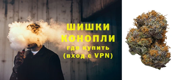 бошки Богородицк
