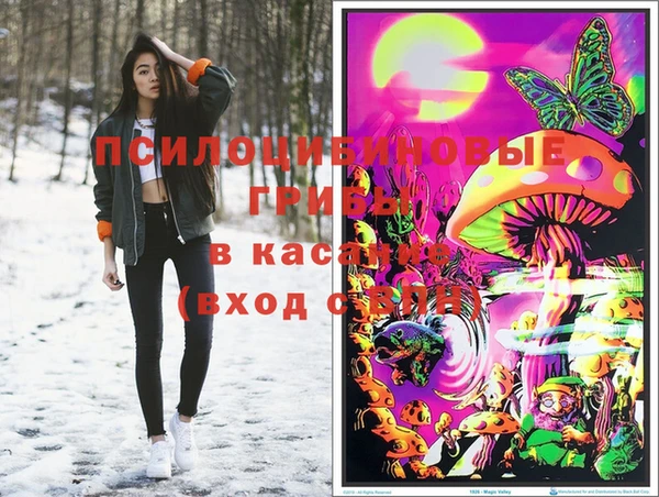 бошки Богородицк