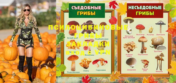 бошки Богородицк