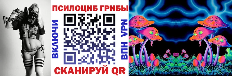 Псилоцибиновые грибы GOLDEN TEACHER  мега зеркало  Называевск  продажа наркотиков 